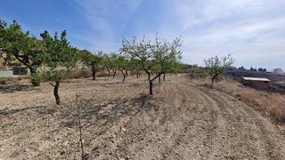 Terreno residenziale in Relleu