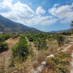 Terreno residenziale in Orxeta