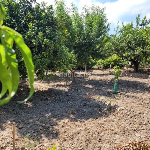 Foto e1b281b1-3fa0-4f33-814d-dcb52873b5ec. Terreno residenziale in Orxeta