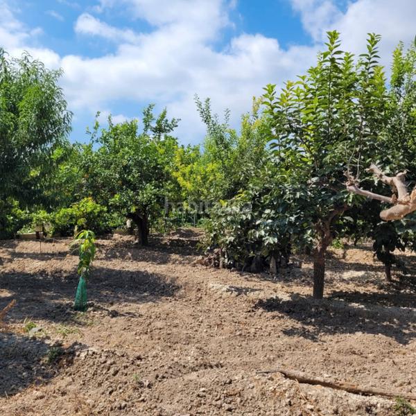 Foto fbc909b8-ecd4-4ffb-b1b7-3037b7834a55. Terreno residenziale in Orxeta