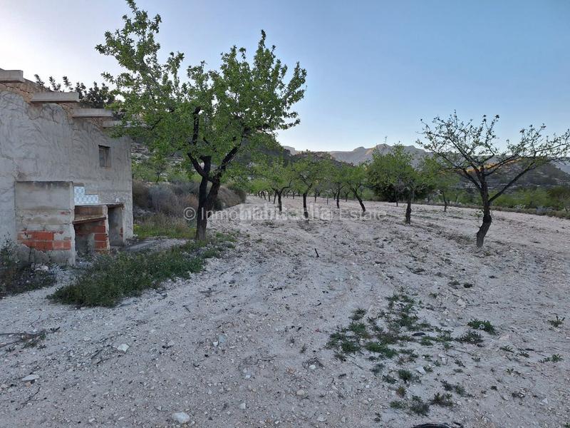 Foto d483aadc-9bea-4090-8c17-8162065cc4dd. Chalet con parcheggio in Relleu