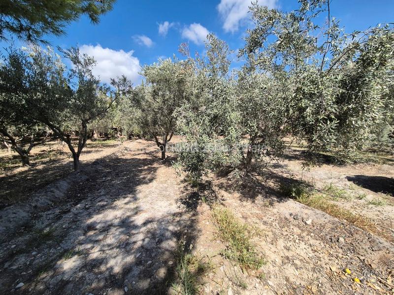 Foto 710d7c9f-eb06-41ec-b44e-d55f12a7c0f6. Chalet en El Secanet-Hacienda del Sol Vila Joiosa (la)