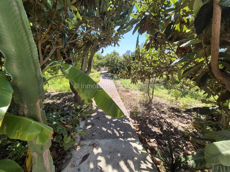 Foto c0d2216e-5024-4921-8a2f-8cc11a59a174. Chalet con parcheggio piscina in El Secanet-Hacienda del Sol Vila Joiosa (la)