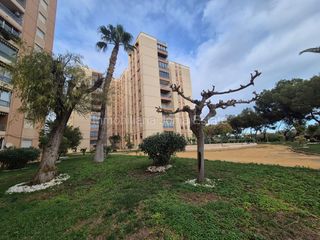 Apartament a Poble Nou-Montiboli