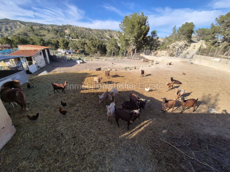 Foto d68e6ebd-072a-443c-9325-1d36289aa4c2. Xalet amb aparcament a Cárcer