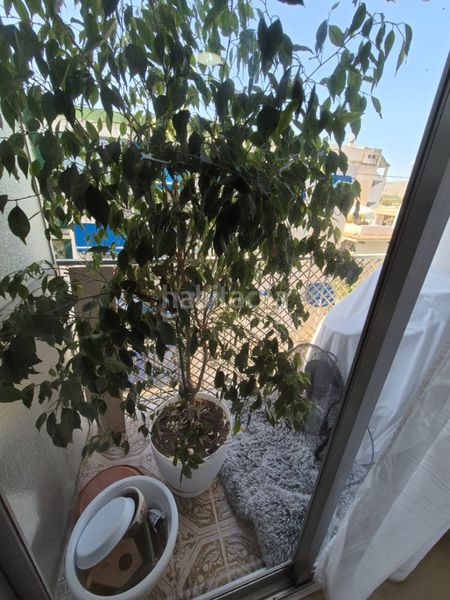 Foto efc65e1a-fa76-4ca9-a4e9-a698ae564167. Apartament amb calefacció a Centro Urbano Vila Joiosa (la)