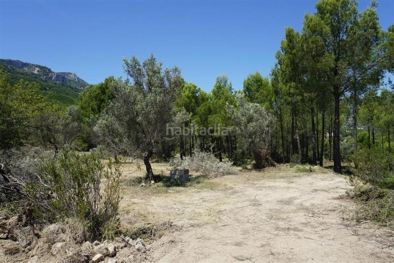 Foto 02921973-0727-457f-b0ed-55889f874872. Fondo rustico in Guadalest