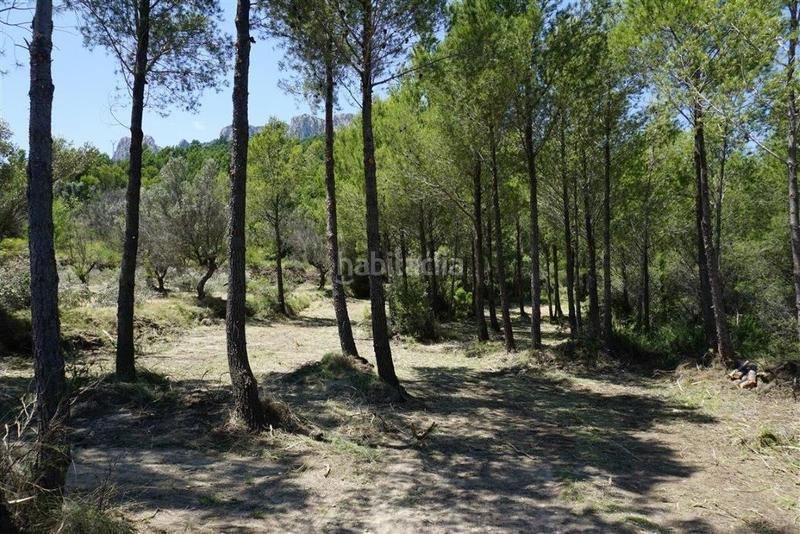 Foto 1320e975-5adc-41e4-941c-a0f6d9b52c4a. Fondo rustico in Guadalest
