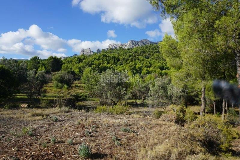 Foto 20e5cedf-bbb0-48b7-b70d-3e782b315350. Fondo rustico in Guadalest