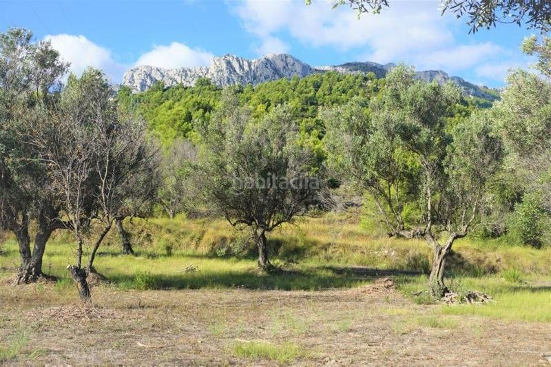 Foto 38d75b84-36ad-4fd0-a117-b0b08197d51f. Fondo rustico in Guadalest