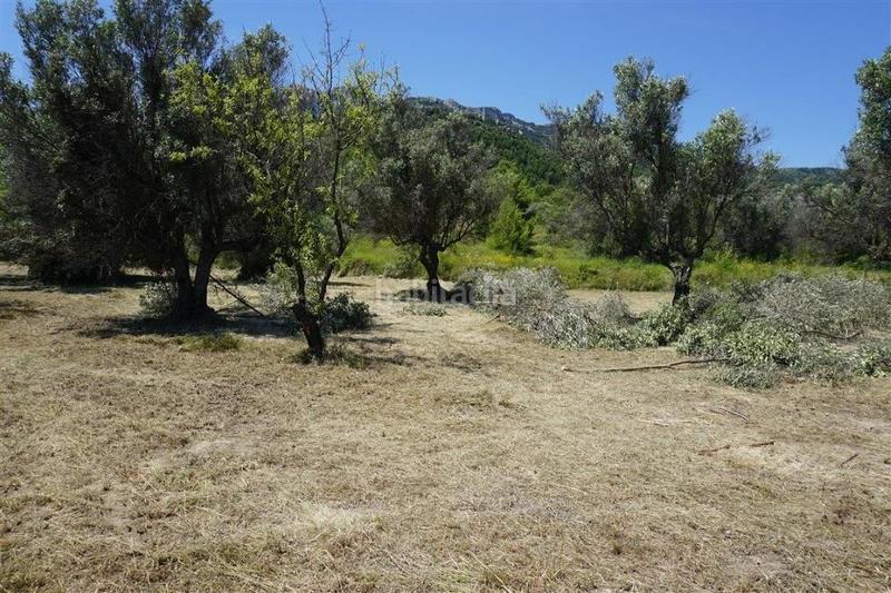 Foto 701ba1c6-7a43-47cb-9fe9-3d72753f5ddb. Fondo rustico in Guadalest