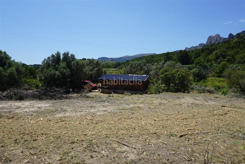 Foto 733cc659-1b9e-4bfe-82b7-e83a95fb8045. Fondo rustico in Guadalest