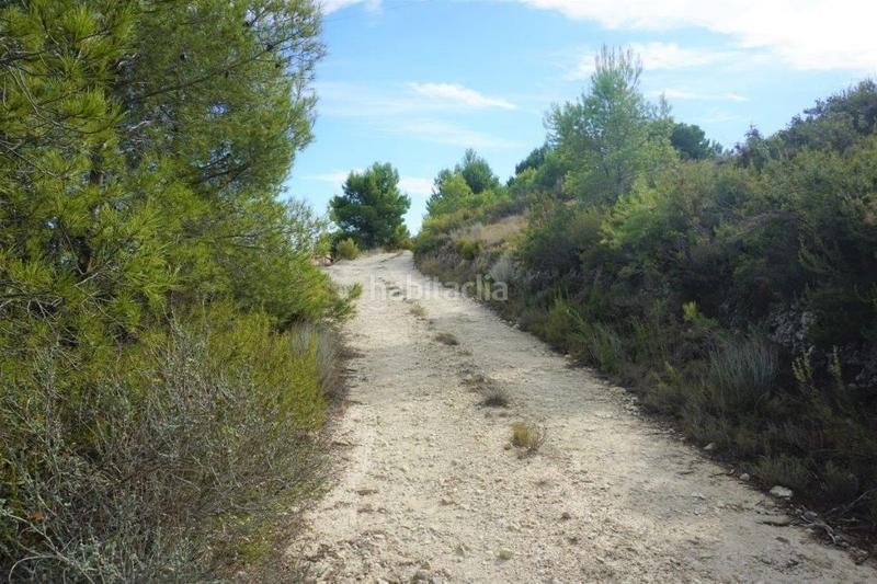 Foto 7744d69f-8173-430f-ad70-1d2311a8f0a1. Fondo rustico in Guadalest