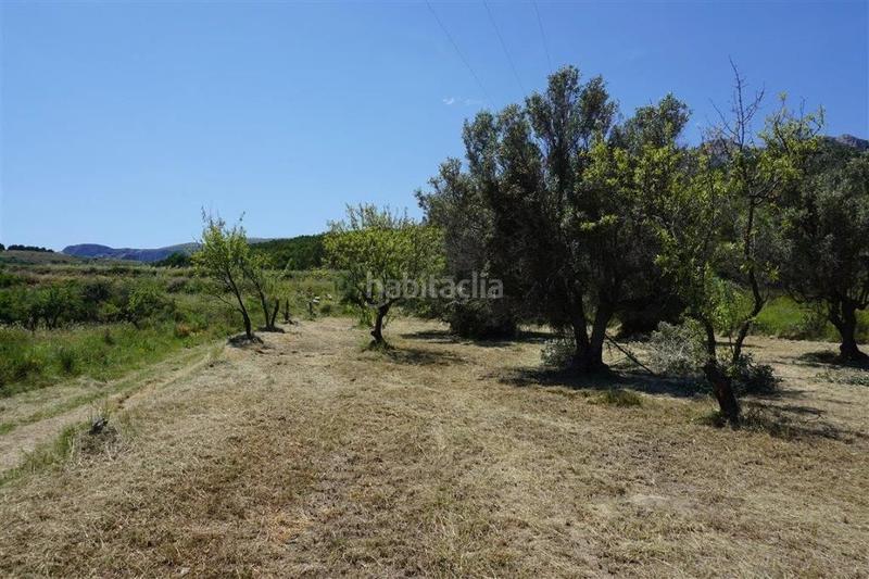 Foto 8fba99cd-1155-4414-8c1a-097a48b2bc38. Fondo rustico in Guadalest