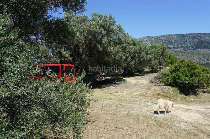 Foto 99c338d6-c30a-4af6-97c2-3b5d44ce8268. Fondo rustico in Guadalest