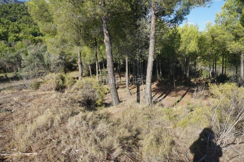 Foto 9bc20599-ebca-449b-8b8e-0c32a8ad79c2. Fondo rustico in Guadalest