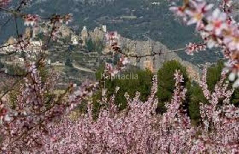 Foto a01beeac-1452-48a4-96f7-38ff521b69ee. Fondo rustico in Guadalest