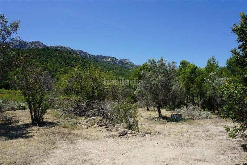 Foto a05720b9-6f30-4fca-a5f5-e46ab58807e6. Fondo rustico in Guadalest