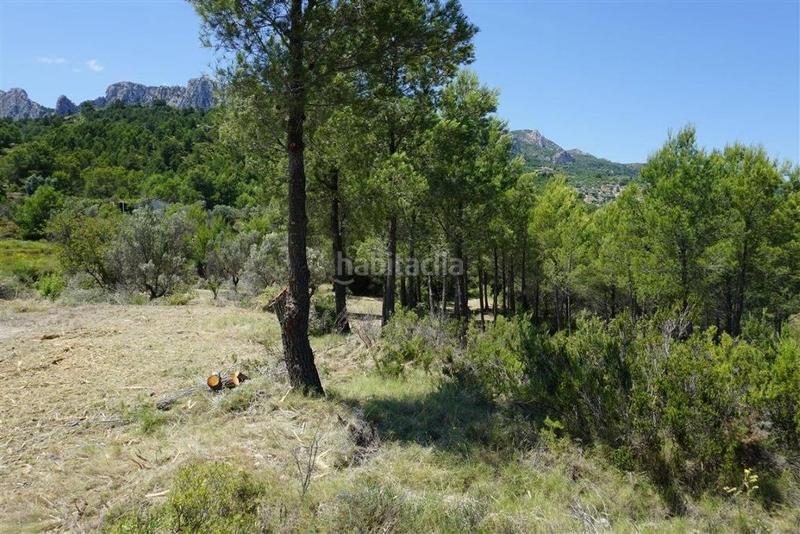 Foto a3ba3fdf-41d6-47a1-948e-e2fc61430c3e. Fondo rustico in Guadalest