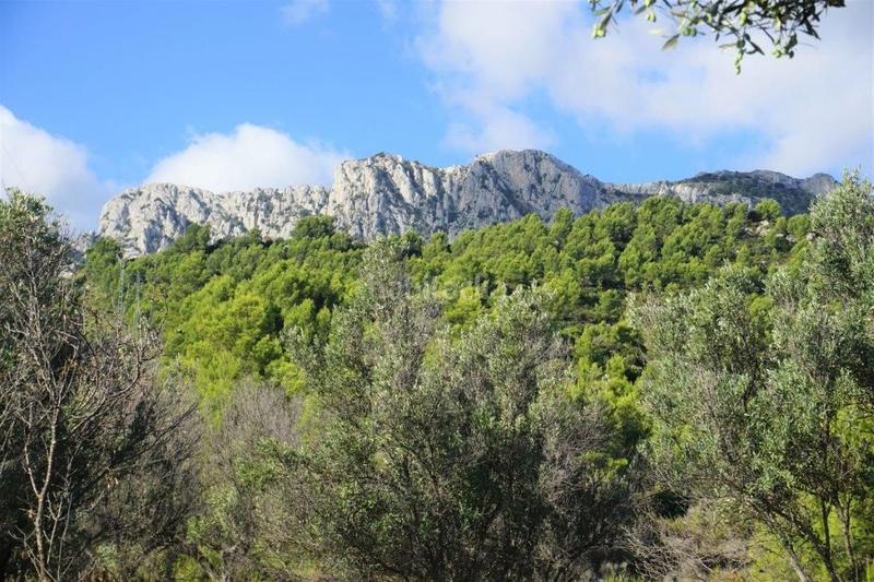 Foto a77aea48-9de6-4579-b4a8-66799fbd6dd8. Fondo rustico in Guadalest