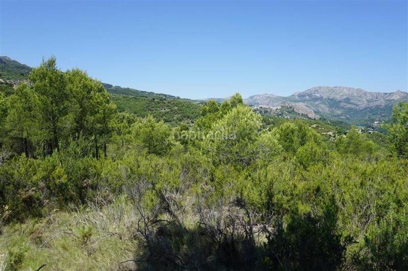 Foto ac22476d-e771-485a-b726-ee298e859069. Fondo rustico in Guadalest