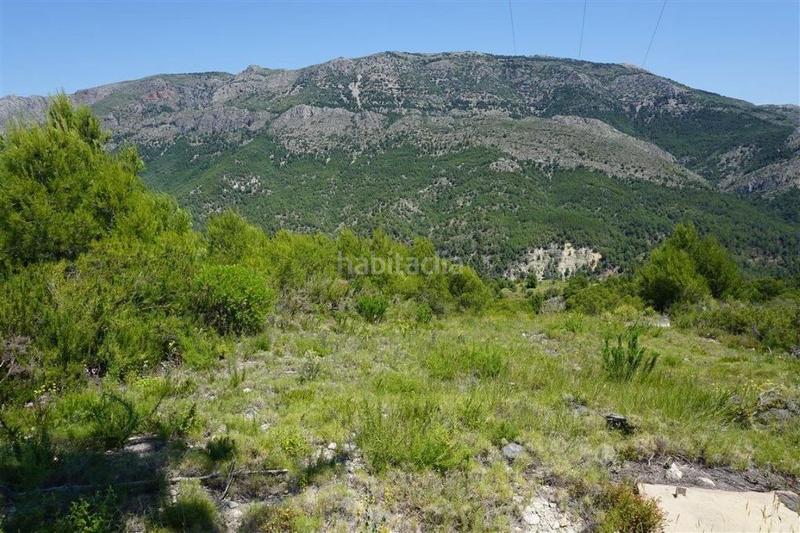 Foto bdf3e3b6-7499-49a3-b006-21542330afa9. Fondo rustico in Guadalest