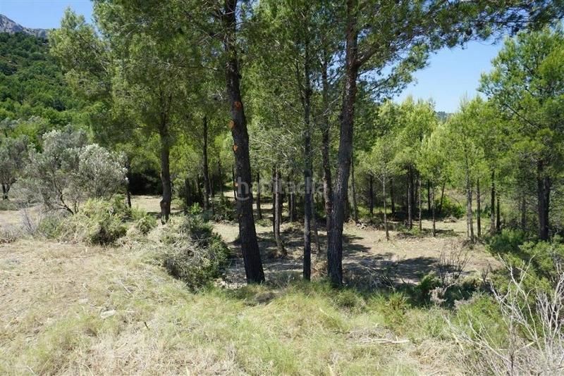 Foto c9964d74-a535-4e7a-917f-de9522c13a0b. Fondo rustico in Guadalest