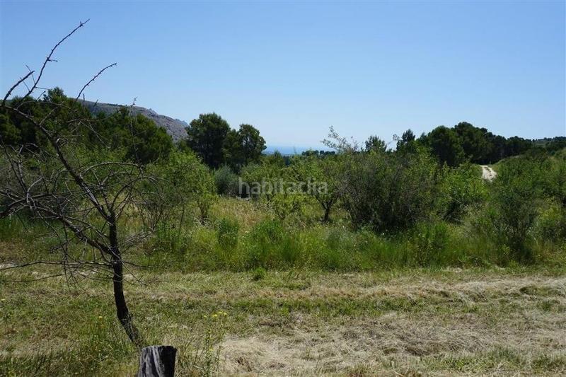 Foto df6a5bae-5349-4832-a095-36131560bd51. Fondo rustico in Guadalest