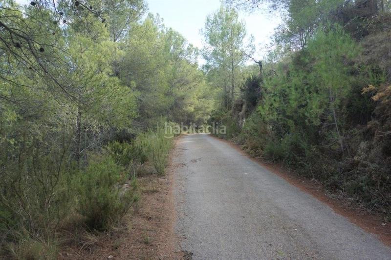 Foto e9397d8a-1d69-47e8-b9ec-cbbd68720665. Fondo rustico in Guadalest
