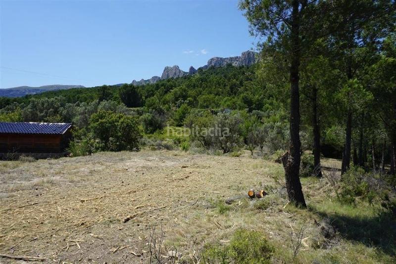 Foto f943a9a2-ccd9-42da-a539-8518007f07aa. Fondo rustico in Guadalest