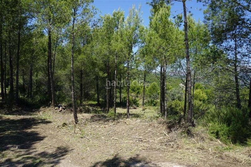 Foto c3c33397-c86b-4bf0-b7df-9b06511a3eb2. Finca rústica en Guadalest