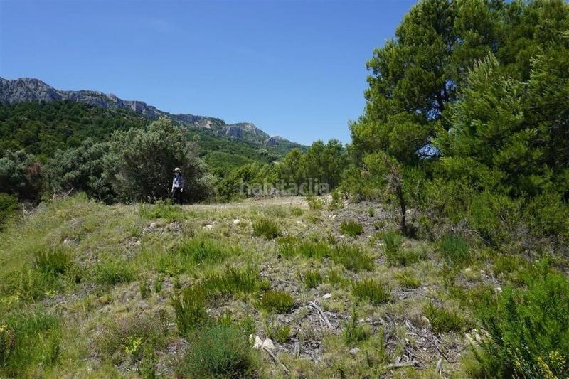 Foto cf85ea71-54ab-4660-ba04-a4f0774a132f. Finca rústica en Guadalest