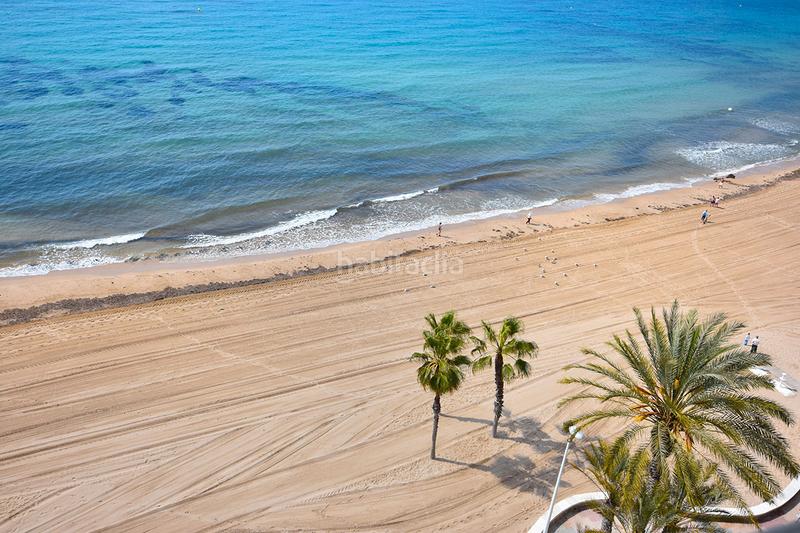 Foto e196d299-2227-4883-8b7b-d810a461ca16. Dachwohnung mit heizung parking pool in Playa Arenal - Bol Calp