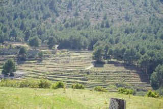 Terreno residenziale in Callosa d´En Sarrià. Gran terreno con permiso de construcción, con vallas y cerrado c