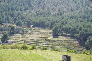 Terreny residencial a Callosa d´en Sarrià. Gran terreno con permiso de construcción, con vallas y cerrado c