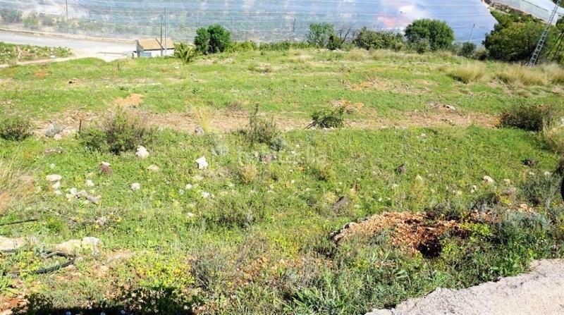 Foto 0e32a24e-30b1-4540-8188-fe6fbec250f4. Terreny residencial a Callosa d´en Sarrià