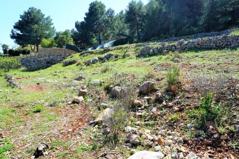 Foto 13743f95-94d9-4105-aed4-f018e6a6468a. Terreny residencial a Callosa d´en Sarrià