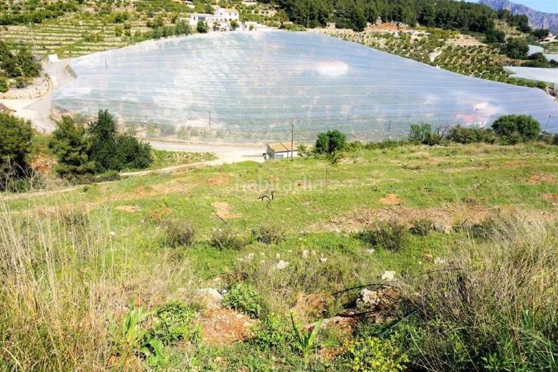 Foto 23f51ca3-9bc2-487f-a4d1-ca3c79869e55. Terreny residencial a Callosa d´en Sarrià