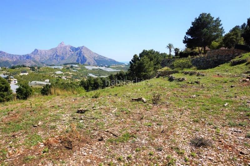 Foto 3fd77c31-a8b1-4201-8db6-77cfdecb4ea4. Terreny residencial a Callosa d´en Sarrià