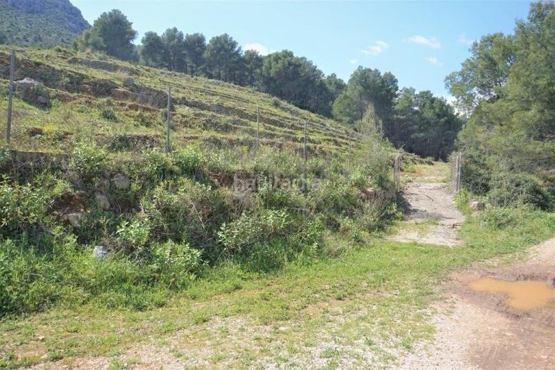 Foto 568c8b78-3061-4bcb-89c8-92872240103c. Terreny residencial a Callosa d´en Sarrià