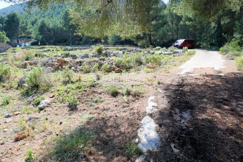 Foto 5c5df600-c10a-41f3-b290-29e70c0d7640. Terreny residencial a Callosa d´en Sarrià