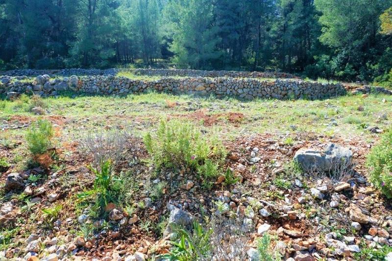 Foto 6d28bc8e-9edc-4e1e-bce2-e9b036c44a38. Terreny residencial a Callosa d´en Sarrià