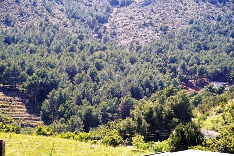 Foto 7c64229e-4364-460a-a400-3f6ccb8bd6fc. Terreny residencial a Callosa d´en Sarrià