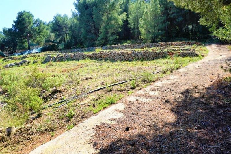 Foto 8b16f360-56e7-4a3d-a006-8f67ac73ef4a. Terreny residencial a Callosa d´en Sarrià