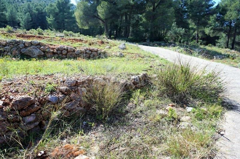 Foto 929e2f39-564e-4b29-a5e0-c43f9bc23b62. Terreny residencial a Callosa d´en Sarrià