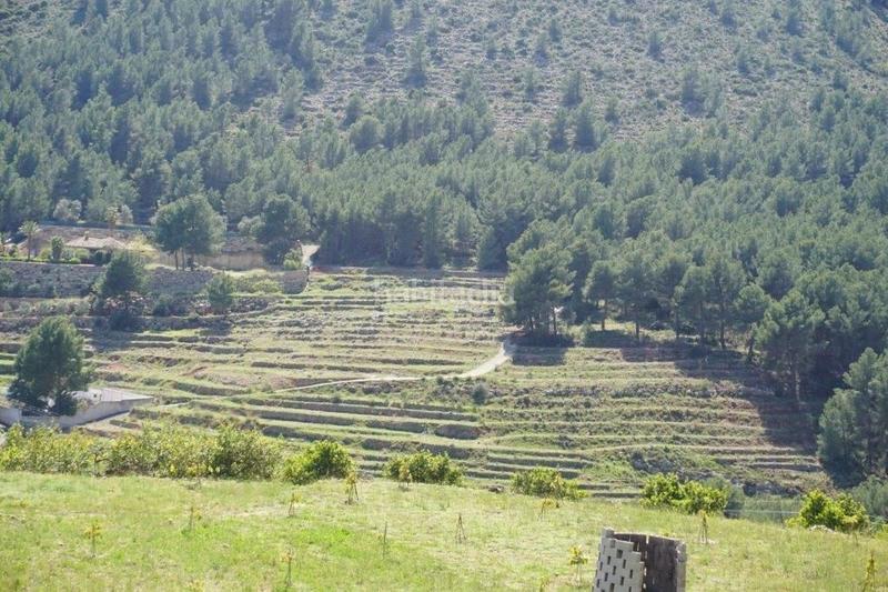 Foto 9590f1bf-49ff-4851-bddb-f15d0a74f6ec. Terreny residencial a Callosa d´en Sarrià