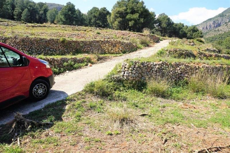 Foto aad72069-c43a-4fa2-84c6-27cddc77de5a. Terreny residencial a Callosa d´en Sarrià