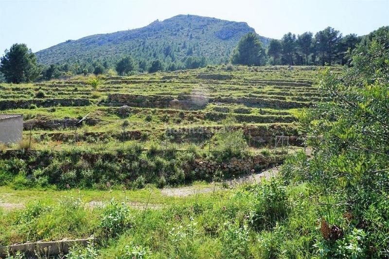 Foto b061fecc-488f-4768-be2a-896a001dbbb9. Terreny residencial a Callosa d´en Sarrià