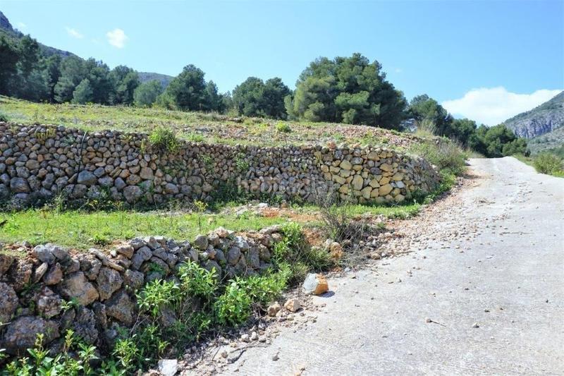 Foto ba739636-6e5e-4bd7-b54d-86981da9907b. Terreny residencial a Callosa d´en Sarrià