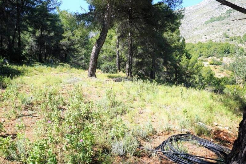 Foto bac9dd75-d51f-4cbd-805c-c8a0350a8a74. Terreny residencial a Callosa d´en Sarrià